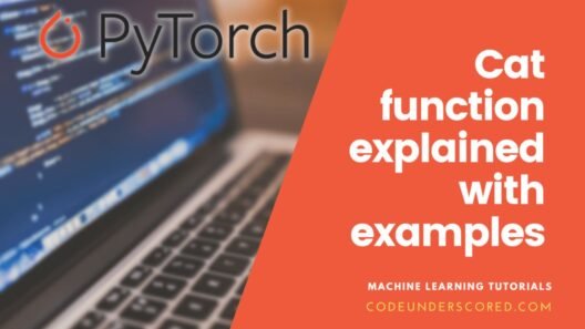 Cat PyTorch function